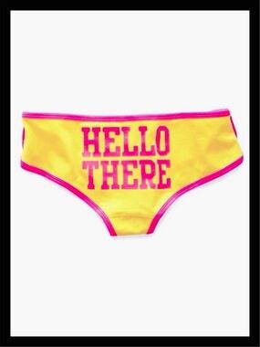 💕ⓅⒾⓃⓀ ⓋⓈ Extra Low Rise Hipster Panties NWT💕